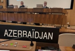 Azərbaycanın nümayəndəsi UNESCO-nun Apellyasiya Şurasının alternativ sədri vəzifəsinə seçilib