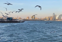 Nə qədər ki, dünya durur, bu belə olacaq - ESSE