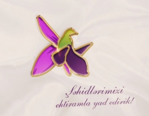 Ölmədilər, şəhid oldular - ESSE