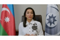 Ermənistanın muzdlulardan istifadə etməsinə dair faktlar beynəlxalq təşkilatlara göndərilib