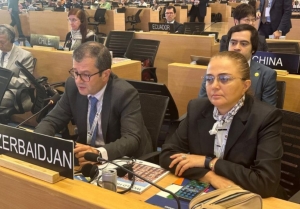 Mədəniyyət Nazirliyi UNESCO-nun Ümumdünya İrs Komitəsinin 46 sessiyasında təmsil olunur
