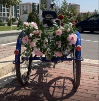 G&uuml;l yetişdirən adam