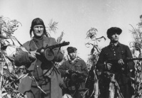 Necə oldu ki, müsəlmanlar Hitlerin qorxulu röyasına çevrildi