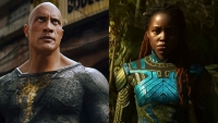 Black panther-2: Wakanda forever filmi 700 milyondan çox gəlir əldə edib
