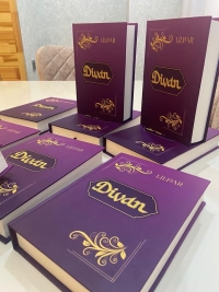 “Divan” kitabı iddialı gəlir