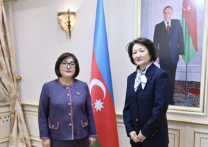 Türk Mədəniyyəti və İrsi Fondunun prezidenti Milli Məclisin sədri ilə görüşüb
