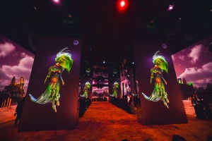 Gəlin, Metaverse ilə tanış olaq