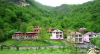 Təbii gözəlliklər, üstəgəl bal – YOLUMUZ LERİKƏDİR