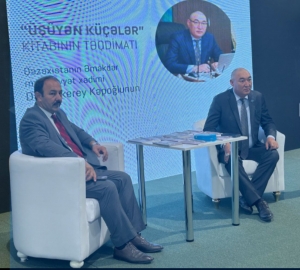 X Bakı Beynəlxalq Kitab Sərgisində “Üşüyən küçələr” kitabının təqdimatı keçirilib