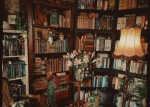 POETİK QİRAƏTdə Aysel Fikrətdən “Kitab rəfi”