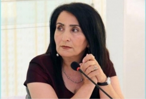 Sumqayıtda Gülnarə Cəmaləddinlə görüş keçiriləcək