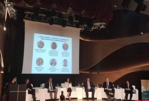 Beynəlxalq Abidələr və Tarixi Yerlər Gününə həsr olunmuş forum panel iclaslarla davam edib