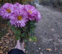 Bir gün getsən, unutma – ESSE
