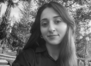 Hər kəs qəhrəman axtarışında - ESSE