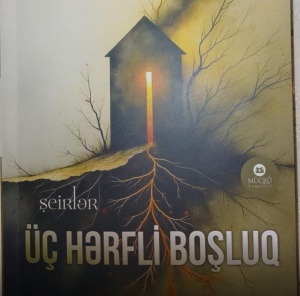 Teymur Padar Aydınoğlunun “Üç hərfli boşluq” kitabına ÖN SÖZ