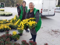 Gözəllik, təmizlik və yaşıllıqla dolan şəhərimiz