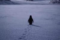 Nihilist Pinqvin: Tənha bir gedişin d&ouml;vr&uuml;m&uuml;zə tutduğu g&uuml;zg&uuml;