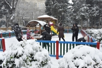 Günün fotosu: Bakı ağ örpəyə bürünüb