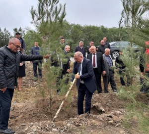 Beyləqan rayonunda növbəti dəfə genişmiqyaslı ağacəkmə aksiyası keçirildi