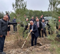 Beyləqan rayonunda növbəti dəfə genişmiqyaslı ağacəkmə aksiyası keçirildi