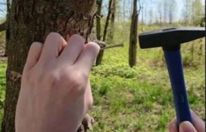 Bir mismar, bir həyat, bir tarix