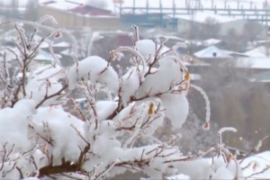 Ki&ccedil;ik &Ccedil;illə gəlir!