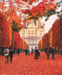 Paris, Tyülri bağı