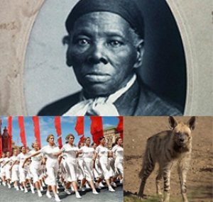 Beynəlxalq Afrika yazıçısı günü, Parad günü və 145 milyon yaşlı goreşən
