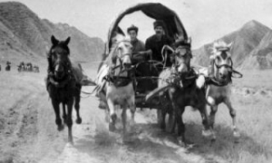 “Yenilməz batalyon” filmi barədə müəmmalar və HƏQİQƏTLƏR