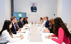 Azərbaycan ilə Macarıstan arasında mədəniyyət sahəsində əməkdaşlıq əlaqələri müzakirə olunub