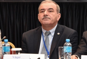 “Azərbaycanda fərdi sahibkarların 22 faizini qadınlar təşkil edir”