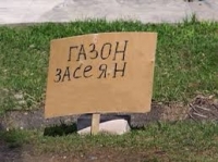Qazon Zaseyanın yerliləri