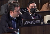 UNESCO-nun İcraiyyə Şurasının 214-cü sessiyasında Azərbaycanın milli bəyanatı təqdim olunub