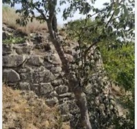OĞUZ  ABİDƏLƏRİ: Maluq qalası