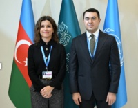 COP29 çərçivəsində Beynəlxalq Muzeylər Şurası ilə əməkdaşlıq məsələləri müzakirə olunub