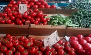 GÜLÜŞ KLUBUnda bahalı pomidor