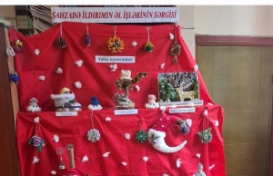 Kitabxanada Fəxri oxucunun Yeni ilə həsr olunmuş sərgisi a&ccedil;ıldı