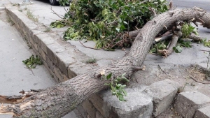 Hisslərimin ruhumdan budaqtək sındığını görürdüm...