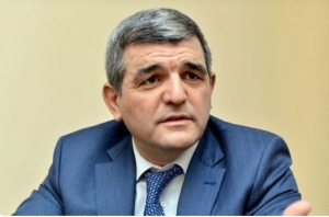 Fazil Mustafa Milli Məclis komitəsinin sədri seçilib