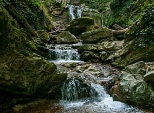 Qafqazın ətəyində bir inci