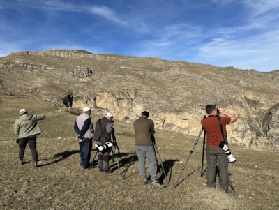 Şahin ovuna gələn ərəblər, yaxud  Azərbaycanın ornitoloji turizm imkanları