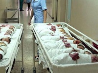 Sayımız 10 milyon 200 mini keçdi - STATİSTİKA AÇIQLANDI