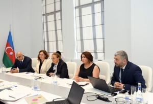 Türkdilli region və dövlətləri birləşdirən yayım platformasının yaradılması müzakirə olunub