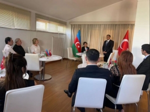 Türkiyədəki Azərbaycan Mədəniyyət Mərkəzinin direktoru İstanbulda yaşayan incəsənət xadimlərimizlə görüşüb