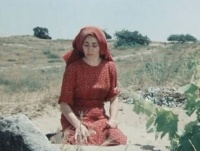 İstinin altında gizlənən həqiqətlər: &ldquo;K&ouml;lgədə 40 dərəcə isti&rdquo;