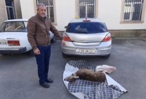 Ceyran-cüyür qənimləri