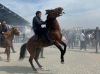 Beyləqanda Novruz bayramı böyük coşğu ilə keçirilib