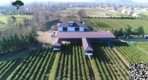Yamyaşıl cənnəti görmək istəyən Lənkərana gəlsin! - Nilado çay plantasiyası və “Nilado Green Hotel &amp; Restoran&quot; sizi gözləyir