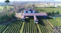 Yamyaşıl cənnəti görmək istəyən Lənkərana gəlsin! - Nilado çay plantasiyası və “Nilado Green Hotel &amp; Restoran&quot; sizi gözləyir