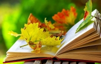 ƏN YENİ POEZİYA: Salam, oktyabr!